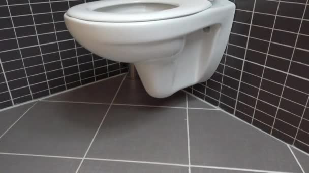 Toilet Mangkuk Toilet Kamar Mandi Modern Dengan Ubin Hitam Dan — Stok Video