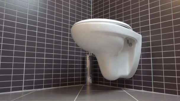 Toilet Bowl Lavatory Modern Bathroom Black Grey Tiles Uhd Crane — Stock Video