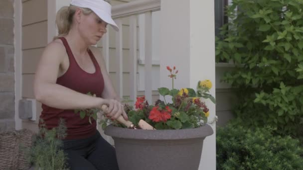 Una Mujer Está Organizando Flores Plantas Maceta Porche Delantero — Vídeo de stock