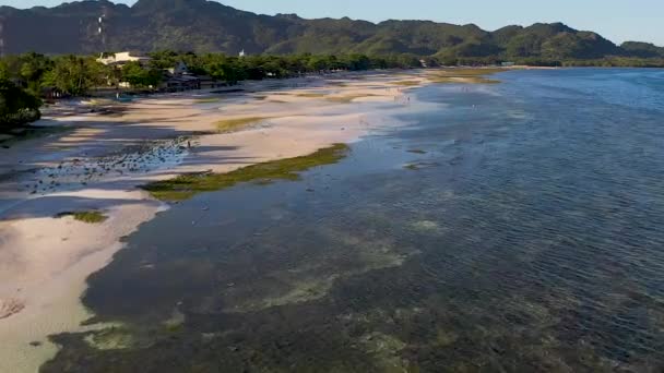 クリスタルクリア ターコイズブルーとフィリピンのボホールで緑の海岸のサンゴ礁の海の上の航空便 遠くの海で泳いでいる人が少ないほど 以下の海岸線を探検する家族 — ストック動画