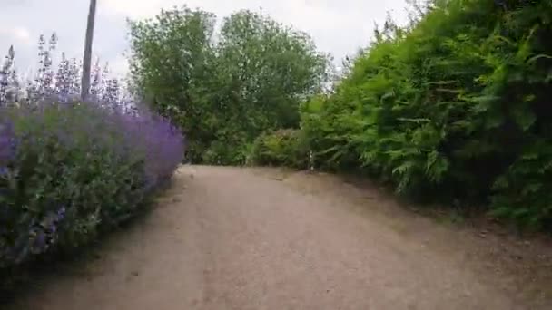 Przejście Wzdłuż Ścieżki Parku Między Kwiatami Krzakiem Dostępem Stawu Nadciśnienie — Wideo stockowe