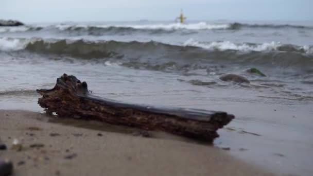 Uitzicht Zee Golven Kust Langzame Beweging — Stockvideo