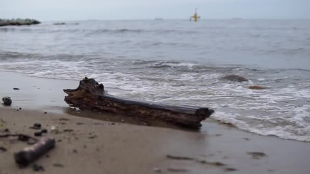 Widok Morze Fale Wybrzeże Zwolniony Ruch — Wideo stockowe