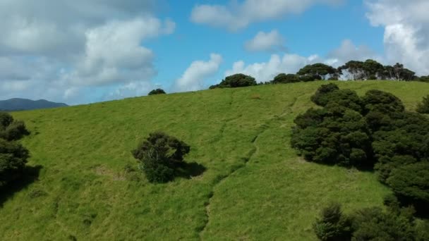 Luftaufnahme Der Tropischen Bucht Der Inseln Neuseeland — Stockvideo