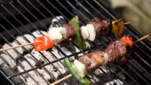 Meat Vegetable Kabobs Hot Charcoal Briquettes Being Grilled Outdoors — Stock Video