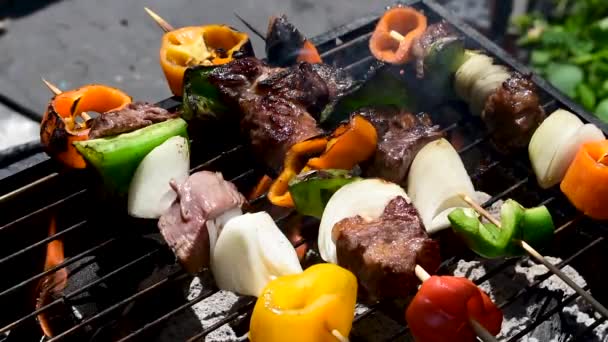 Mięso Warzywa Kabobs Nad Gorącym Węglem Drzewnym Brykiety Grillowane Zewnątrz — Wideo stockowe