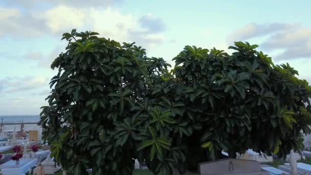 Létání Oceánu Nad Hřbitovem Isla Verde Puerto Rico — Stock video