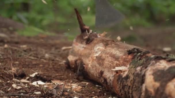 Corte Machado Curto Continuamente Log Slow Motion — Vídeo de Stock