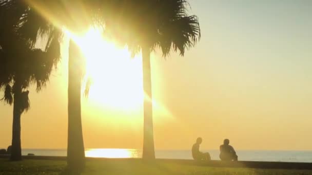 Time Lapse Palm Træ Folk Nærheden Stranden Araha Beach Chatan – Stock-video