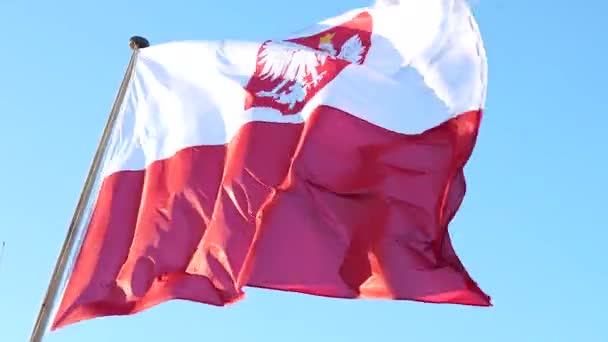 Bandiera Della Polonia Grande Bandiera Con Svuotamento Cielo Blu — Video Stock