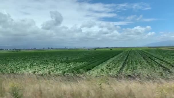 Körning Genom Kaliforniens Jordbruksmark Med Dramatiska Vita Moln Blå Himmel — Stockvideo