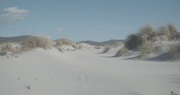 Статический Снимок Маленьких Песчаных Дюн Чистым Небом Растительностью — стоковое видео