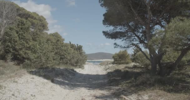 Путь Морю Сардинском Пляже — стоковое видео