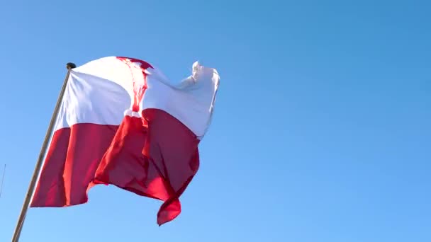 Polens Flagg Stort Flagg Med Tommel Blå Himmel – stockvideo