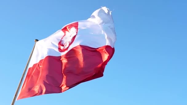 Cámara Lenta Bandera Polonia Bandera Grande Con Empate Cielo Azul — Vídeo de stock