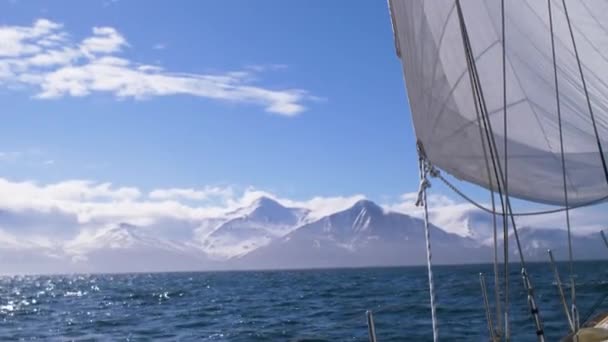 Segeln Auf Einer Jacht Der Arktis Mit Schneebedeckten Bergen Hintergrund — Stockvideo