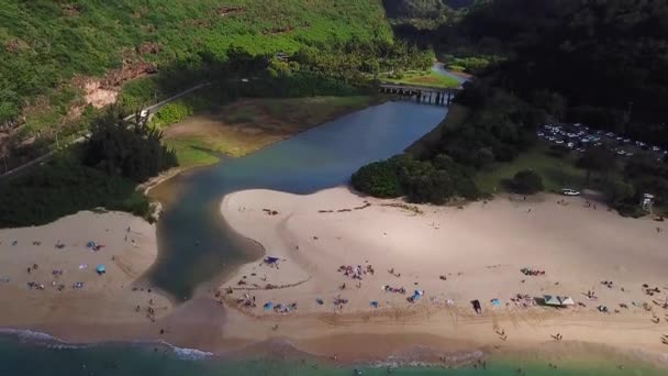 Panning Drone Schot Van Waimea Bay Waimea Valley — Stockvideo