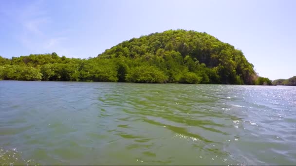 Mare Colorato Verde Con Isola Verde Mangrovie — Video Stock