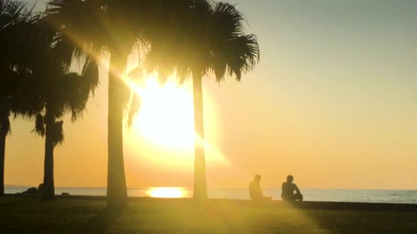 时光流逝的棕榈树和海滩附近的人 日本冲绳Chatan Araha海滩 — 图库视频影像