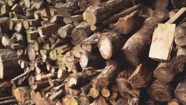 Yığınla Doğal Kesilmiş Odun Yığını — Stok video