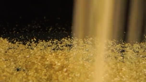 Повернення Доллі Brown Sugar Crystals Falling Slow Motion — стокове відео