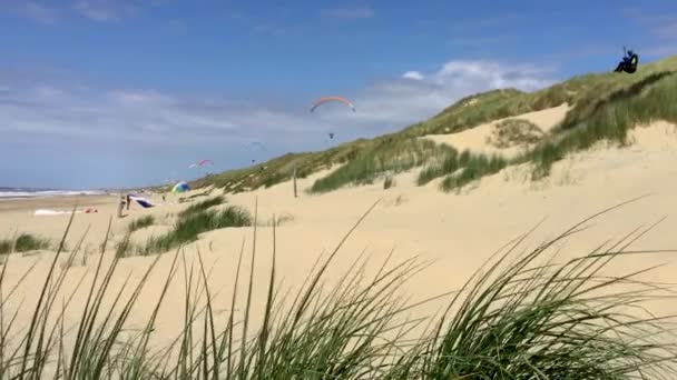 北の海のビーチの芝生の砂丘にパラグライダーで二重に上昇 — ストック動画