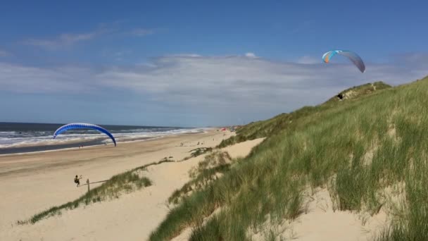 Paraglidisté Využívající Protivítr Dunách Holandského Pobřeží — Stock video