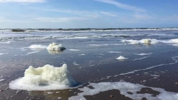 潮の満ち引き地帯の浜辺には汚れた泡の波が吹き荒れる — ストック動画