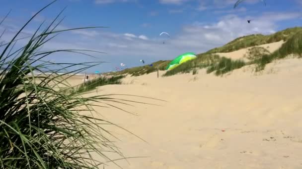 Skärmflygning Vinden Nordsjön Stranden Nederländerna — Stockvideo