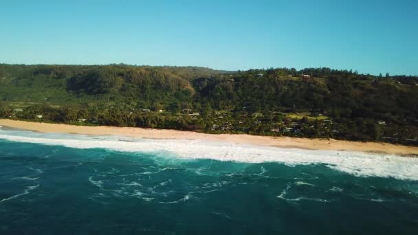 Drone Shot Mostrando Bela Costa Norte Oahu Havaí — Vídeo de Stock