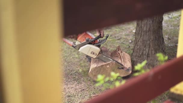 チェーンは裏庭で木を切るのを見た — ストック動画
