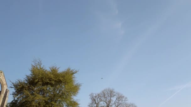 在英国约克郡一个美丽的阳光明媚的夏日早晨 一只小鸟飞驰而过 拍摄到波尔顿修道院的废墟 — 图库视频影像