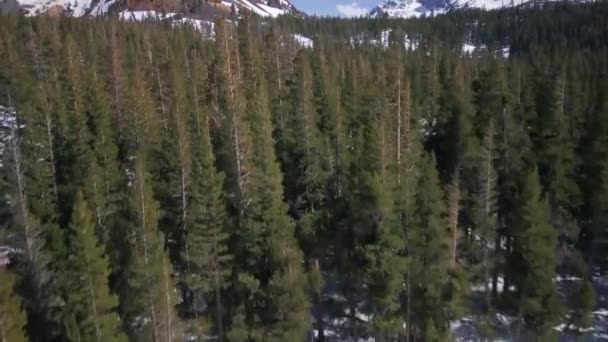 Slow Gradual Tilt Forest Reveal Majestic Snow Capped Mountains — Stock Video