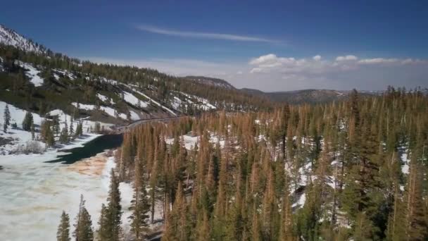 Aerial Flight Winter Forest Next Frozen Lake Mammoth Lake Mountain — Stock Video