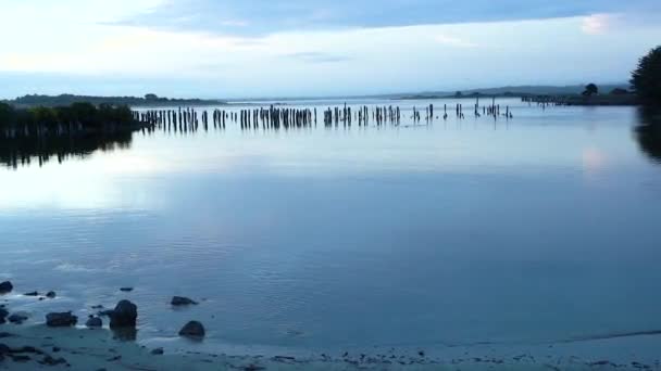 Alte Holzpfähle Stehen Coquille River Bandon Oregon Usa Die Pfähle — Stockvideo