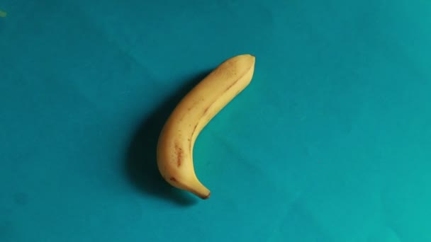 Banany Obracają Się Okręgu Odizolowanym Niebieskim Tle — Wideo stockowe