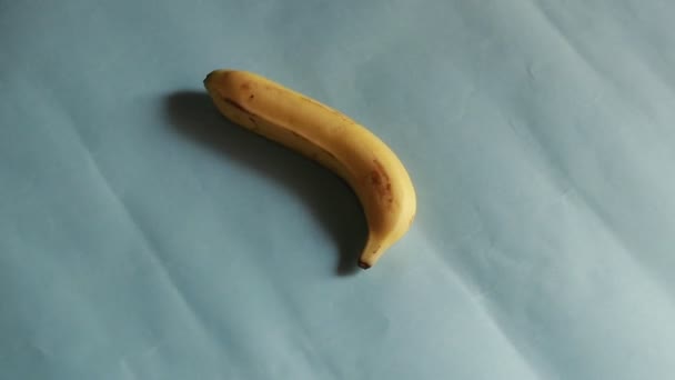 Banany Obracają Się Okręgu Odizolowanym Niebieskim Tle — Wideo stockowe