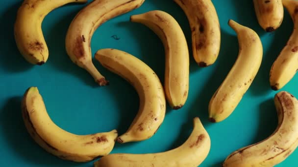 Makro Shot Dojrzałych Żółtych Bananów Organicznych Obracających Się Niebieskim Tle — Wideo stockowe