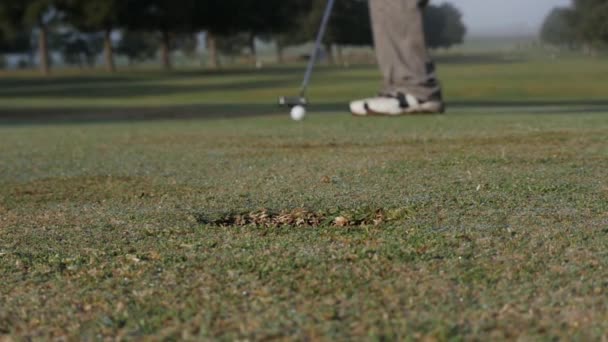 Golfer Mist Putt Groene Low Shot Slow Motion — Stockvideo