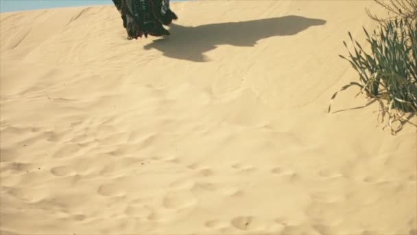 Cigány Sétál Tartja Ruháját Egy Sivatagi Homokdűnén — Stock videók