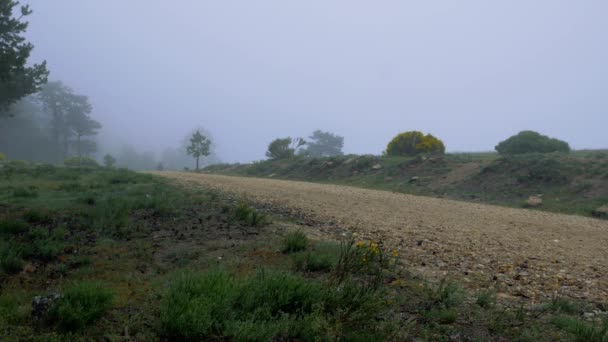 Hombre Aparece Bajando Por Sendero Montaña Día Nublado Ventoso — Vídeos de Stock