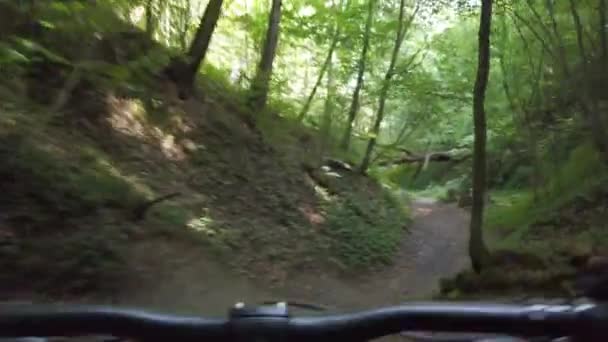 Cabalgando Cuesta Abajo Con Bicicleta Mtb Bosque Lituano Vilna Cámara — Vídeos de Stock