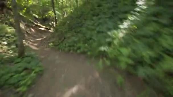 下り坂に乗って リトアニアの森のMtb自転車でジャンプします ジンバ カメラ4K 60Fps — ストック動画
