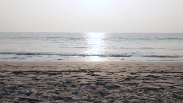 Agonda Beach Goa Une Des Plages Les Populaires Parmi Les — Video