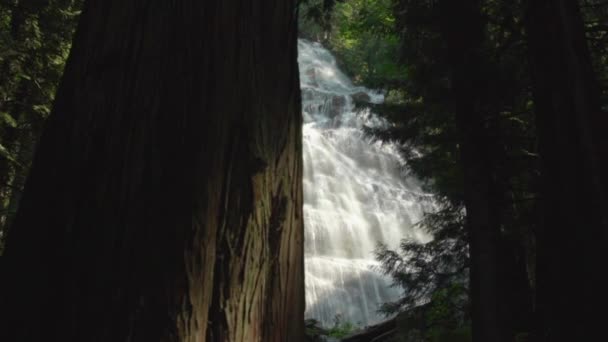 一个巨大的瀑布 缓慢地在森林中央散发出波状的光芒 — 图库视频影像