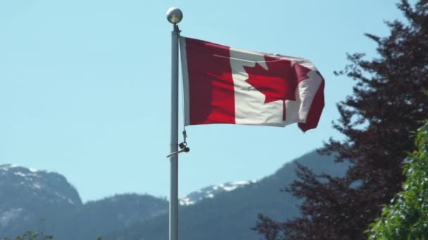 Kanadensisk Flagga Vinden Med Berg Bakgrunden Långsamma Rörelser — Stockvideo