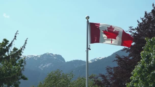 Kanadensisk Flagga Klaffar Stolt Vinden Med Berg Bakgrunden Långsamma Rörelser — Stockvideo
