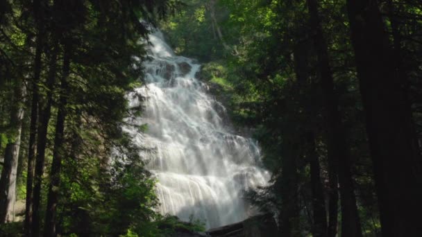森林中央的一个巨大瀑布缓缓地倾泻而下 — 图库视频影像