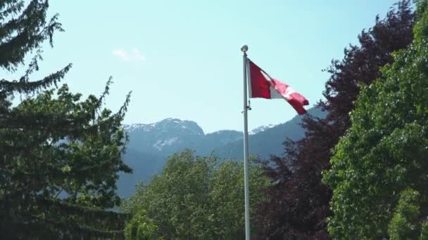 Bandeira Canadense Flaps Orgulhosamente Vento Com Montanhas Cobertas Neve Fundo — Vídeo de Stock