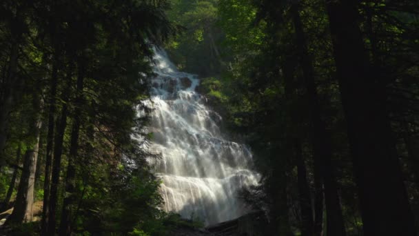 森林中央有一个巨大的瀑布 阳光普照在上面 — 图库视频影像